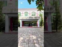 Allungamento ignifugo dell'ANIMALE DOMESTICO del poliestere del nastro automobilistico 10% del telaio ad aghi